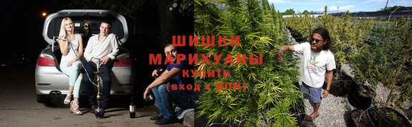 гидропоника Алексеевка