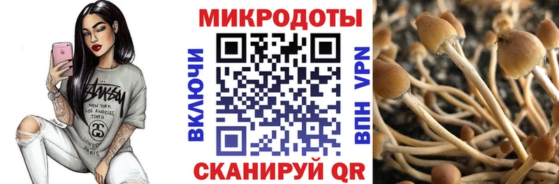 OMG   Щёлкино  Псилоцибиновые грибы прущие грибы 
